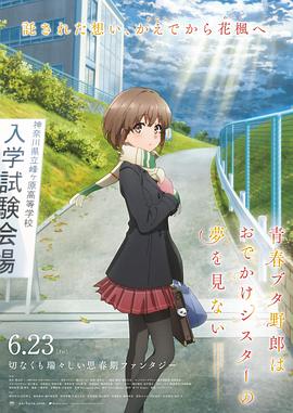 免费看成年人视频