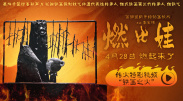 一级大片久久