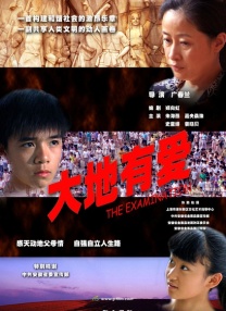 国产成人艳妇aa视频在线