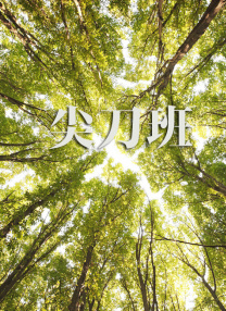 欧美专区一区二区三区