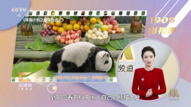 国产精品一区二区在线观看完整版